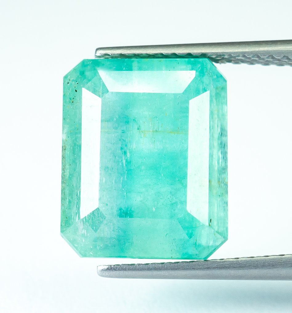 Ohne mindestpreis Smaragd - 7.01 ct - Bellerophon Gemlab - Bläulich-grün (Nigeria) #1.0
