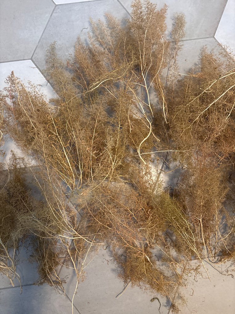 Geen meek H0 - Peisaj machetă tren (90) #2.1