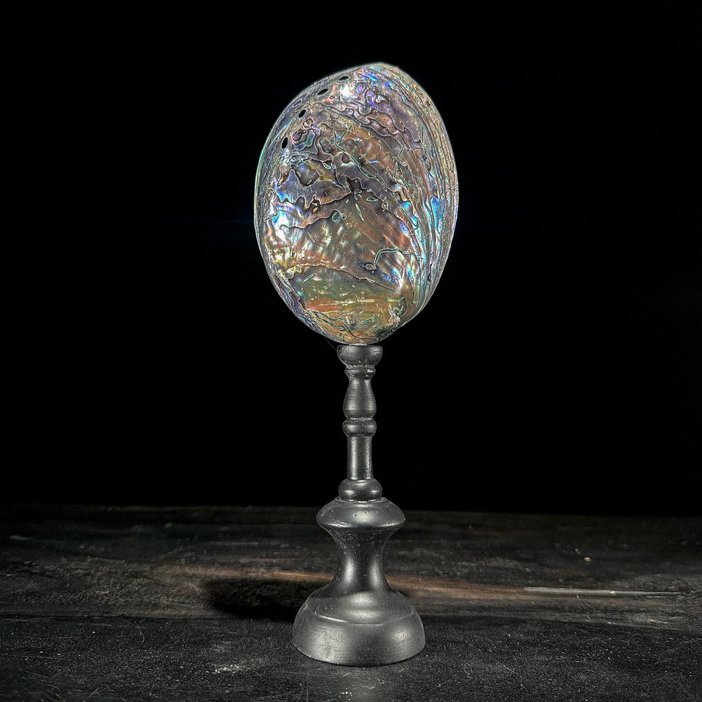 裝飾飾物 (2) - NO RESERVE PRICE - Stunning Pair of Green Smithsonite Sphere & Abalone Shell on stands - 印度尼西亞 #2.1