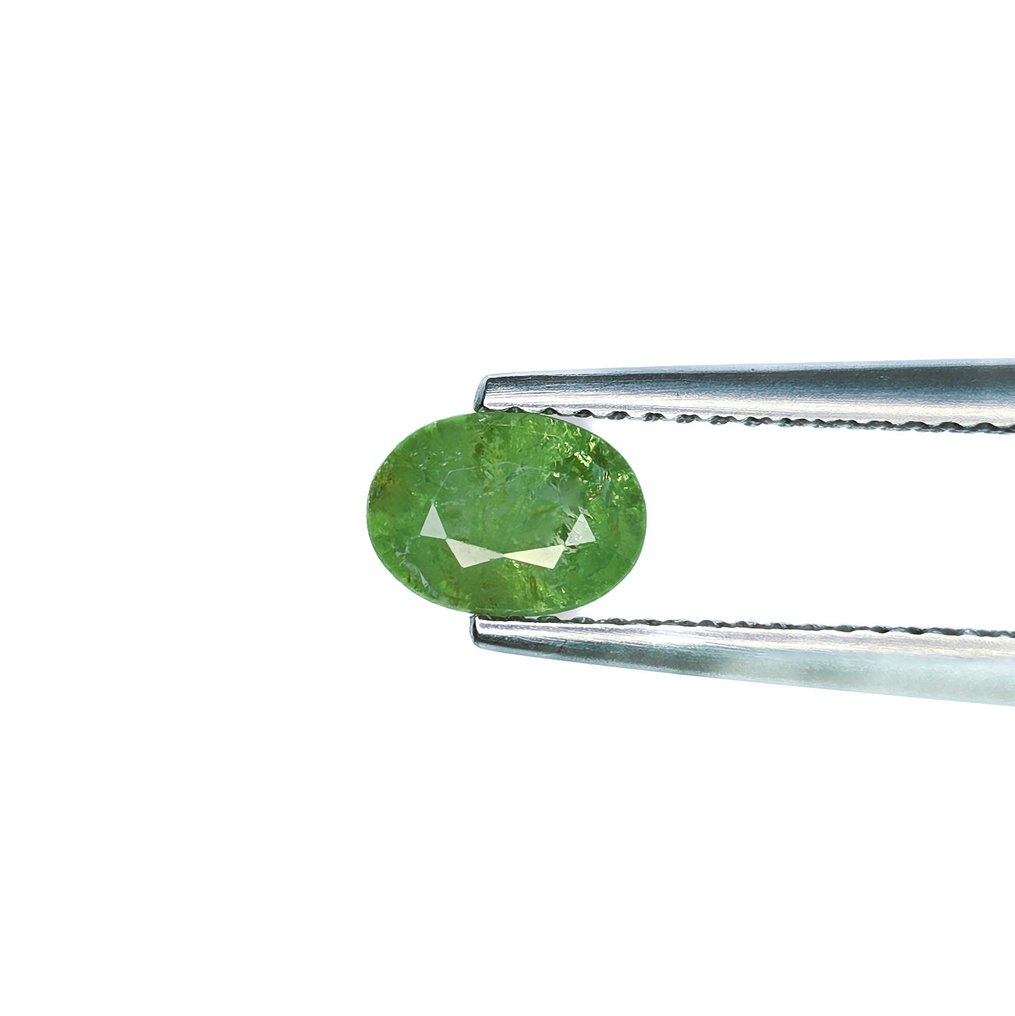 没有保留价 - 2 pcs  翠榴石  - 1.76 ct - 国际宝石研究院（IGI） #4.3