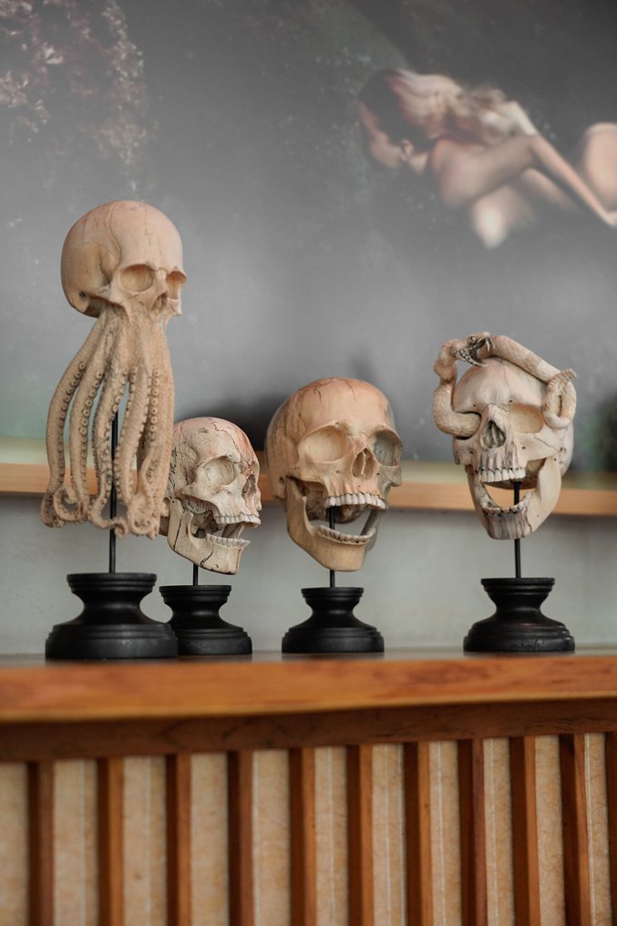 Udskæring, NO RESERVE PRICE - Stunning Wooden Human Skull With A Beautiful Grain on a custom stand - 16 cm - Tamarindus - 2025 #1.0