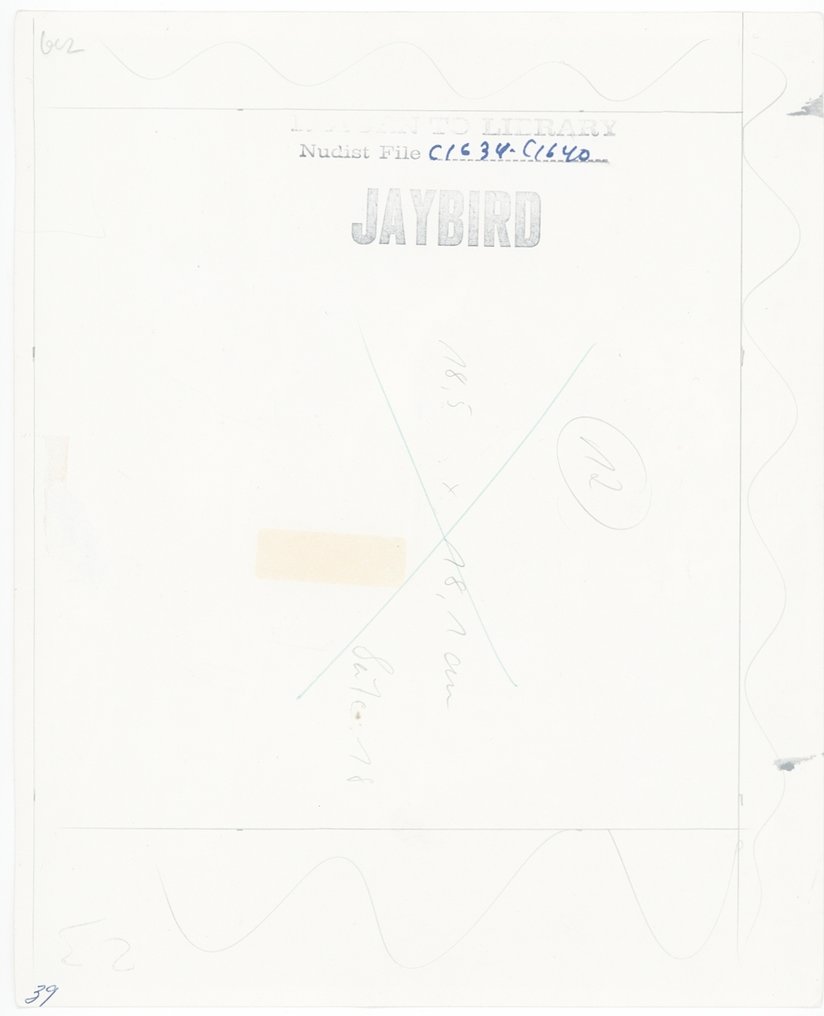 Jaybird (Korenjak) - Akt, junge Frau nackt auf Waldboden, USA, FKK, um 1965 #2.1