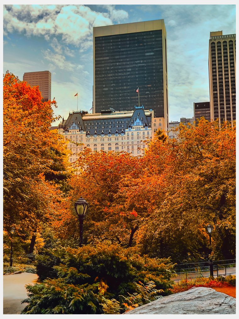 Fabian Kimmel - Golden Fall Moments in New York - Series of 6 #3.2