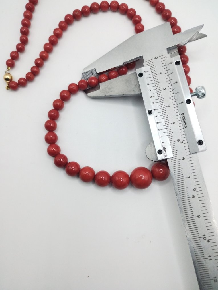 Red Coral Κοράλλι - Corallium rubrum #3.2