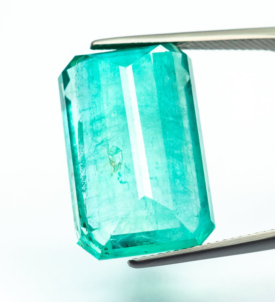 Ingen mindstepris Smaragd - 26.83 ct - Bellerophon Gemlab - Blågrøn (Nigeria) #3.2