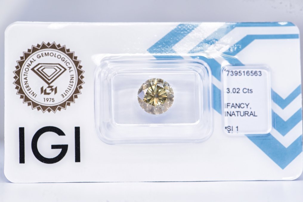 没有保留价 - 1 pcs 钻石  (天然色彩的)  - 3.02 ct - 圆形 - Fancy 稍帶灰色的, 绿色 黄色 - SI1 微内含一级 - 国际宝石研究院（IGI） - VG VG #1.0