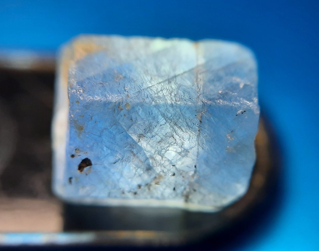 100 cts  Untreated Sapphire - Rough- 20 g #1.0
