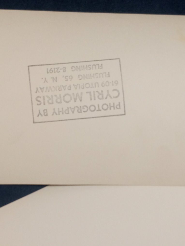 Foto - iso a/3l grifo bertone #3.2