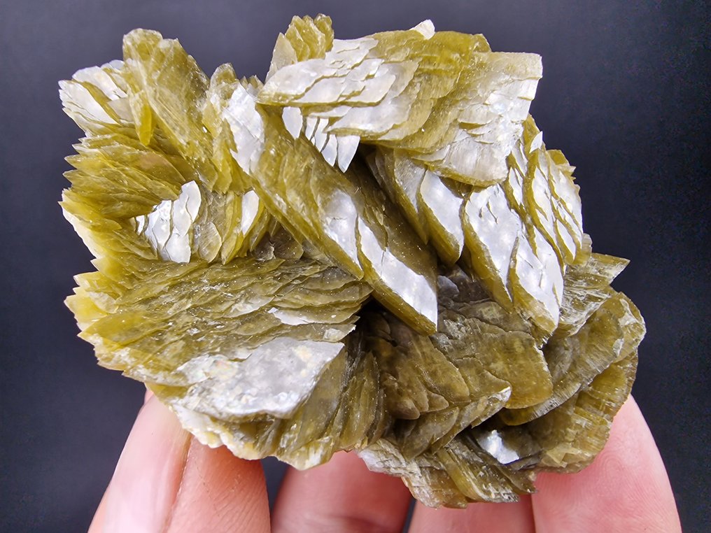 Siderite Dolomite顶部 - 无损坏 - 高度: 70 mm - 闊度: 55 mm- 224 g - (1) #2.1