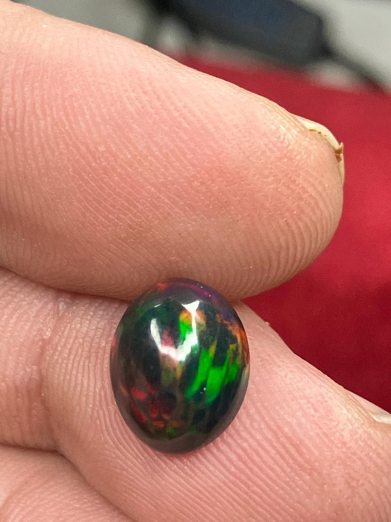 Opal Multicolored Fire Black AAA+++ Natural Black Opal - 2Ct- 0.4 g #2.1