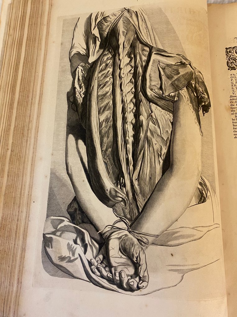 William Cowper - ELEPHANT FOLIO The anatomy of humane bodies with figures drawn after the life by some of the best - 1698 #1.0