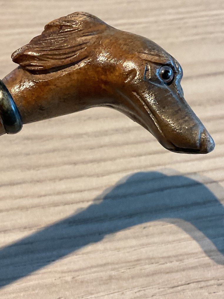 手杖 - 漫步手杖，带有狗头作为手柄 #1.0