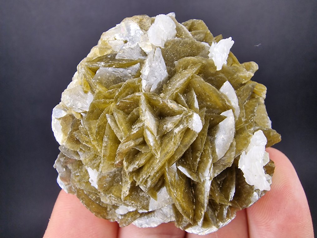 Siderite Dolomite Top - senza danni - Altezza: 60 mm - Larghezza: 55 mm- 144 g - (1) #1.0