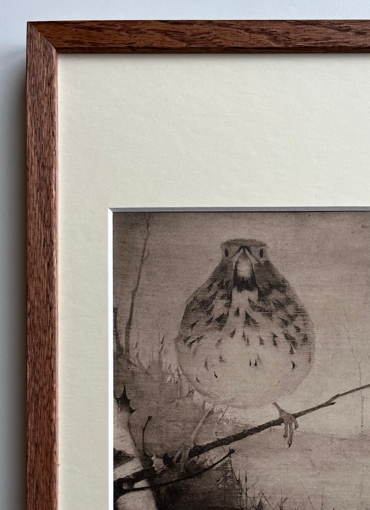 Jan Mankes (1889-1920) - Lijster op tak #4.3