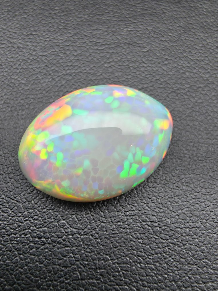 没有保留价 多色, 灰色 蛋白石  - 12.76 ct - 安特卫普宝石检测实验室（ALGT） - Dark Based #3.2