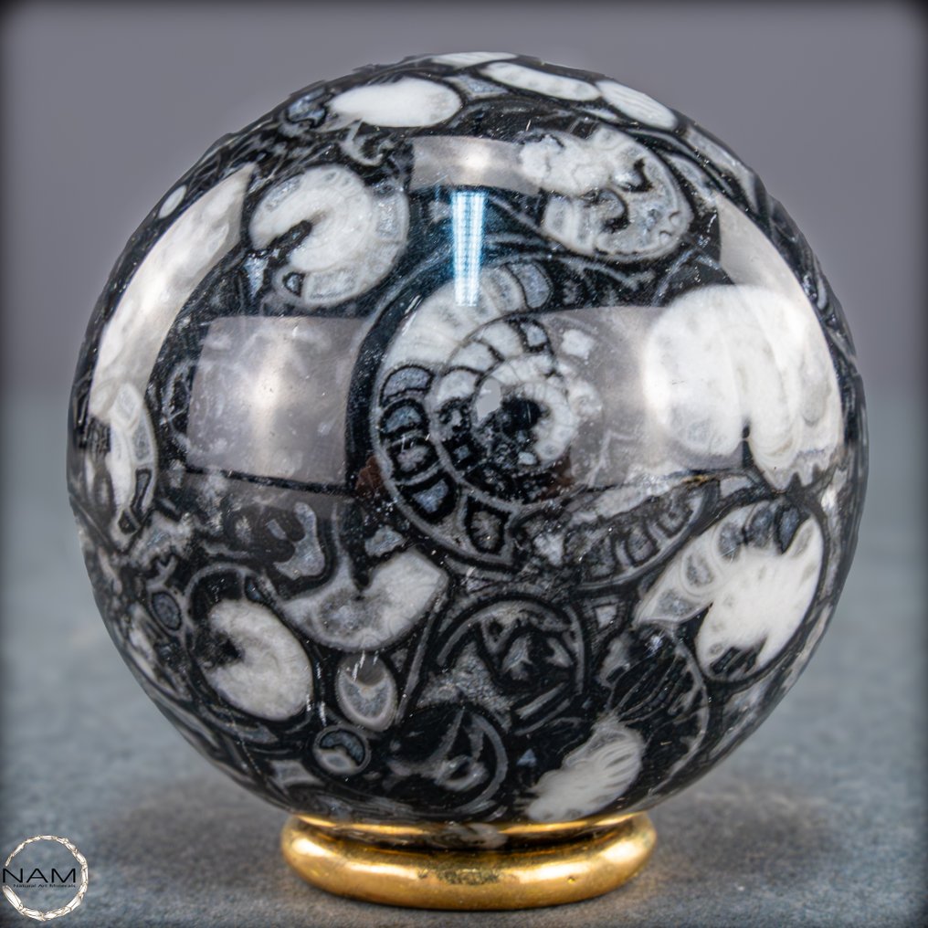 Rare natural Orthoceras sphere Fossil elegance in black and white- 261.03 g #1.0