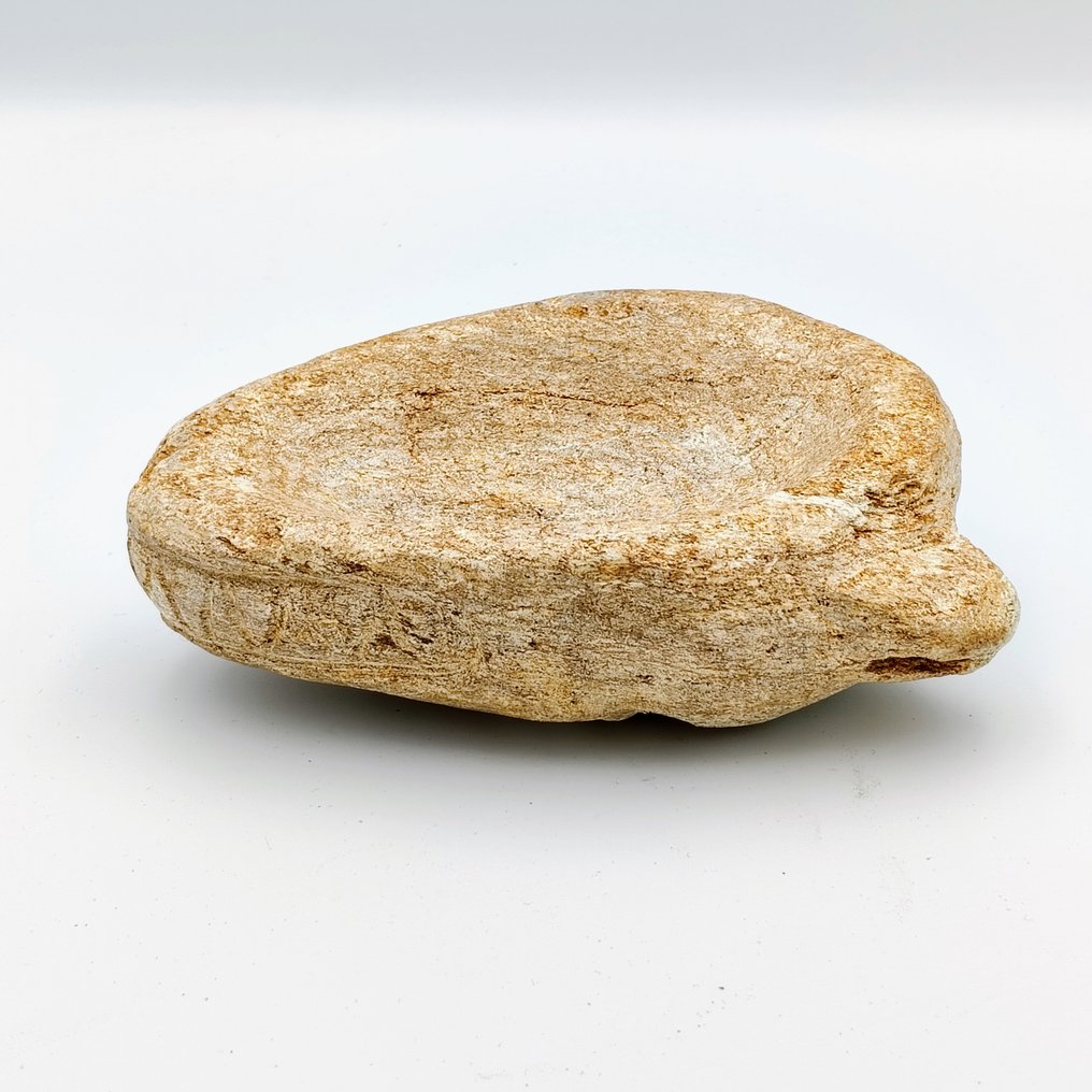 中-西伯利亚 砂岩 稀有虎头形状的药研 - 15 cm #2.1