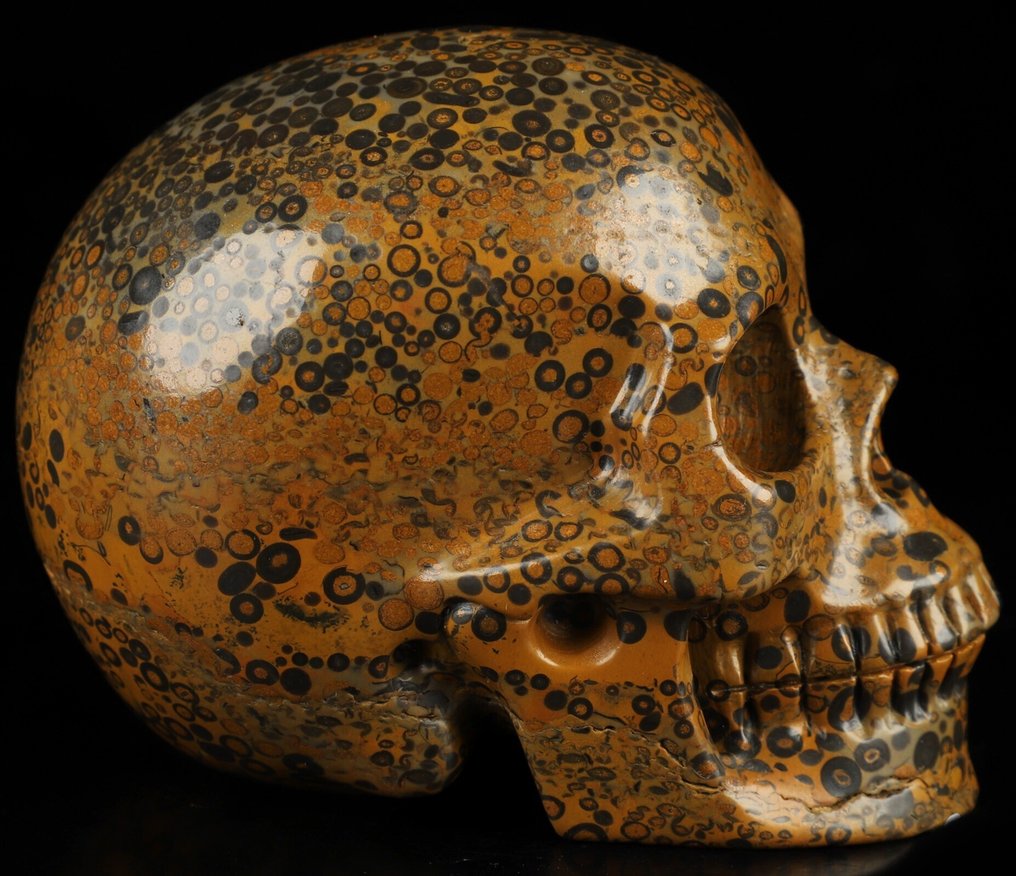 Jasper 678 g 9,80 x 7,50 cm Mexikói AA Jasper Magic Műalkotás sámánikus leopárd bőr Jasper- 678 g #4.3