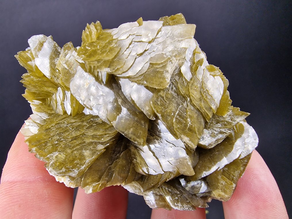 Siderite Dolomite顶部 - 无损坏 - 高度: 70 mm - 闊度: 55 mm- 224 g - (1) #1.0