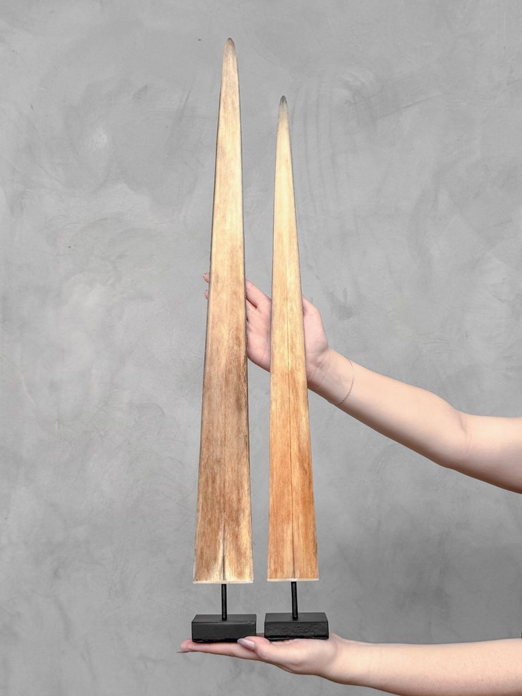 NO RESERVE PRICE - A Pair of large swordfish rostrums on custom-fit pedestals - Rostrum on stand - Xiphias Gladius - 74 cm - 7 cm - 7 cm- Non-CITES species - (2) #1.0