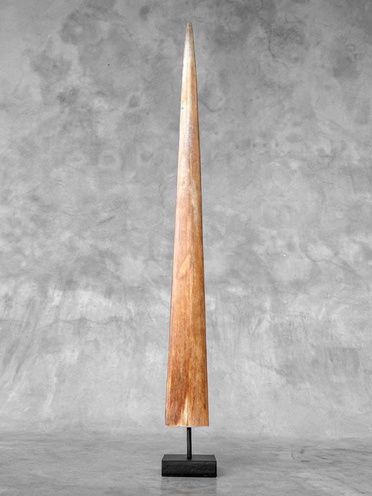 NO RESERVE PRICE - A Swordfish Tusk mounted on a custom-fit stand - Rostrum on stand - Xiphias Gladius - 72 cm - 7 cm - 7 cm- Non-CITES species - (1) #3.2