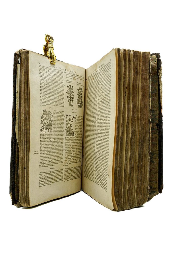 Pierre André Matthiole - Les commentaires de M. Pierre André Matthiolus médecin sienois - 1565 #3.2