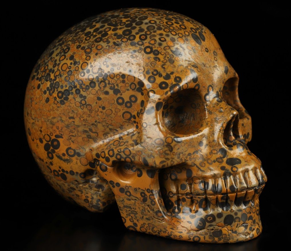 Jasper 678 g 9,80 x 7,50 cm Mexikói AA Jasper Magic Műalkotás sámánikus leopárd bőr Jasper- 678 g #1.0