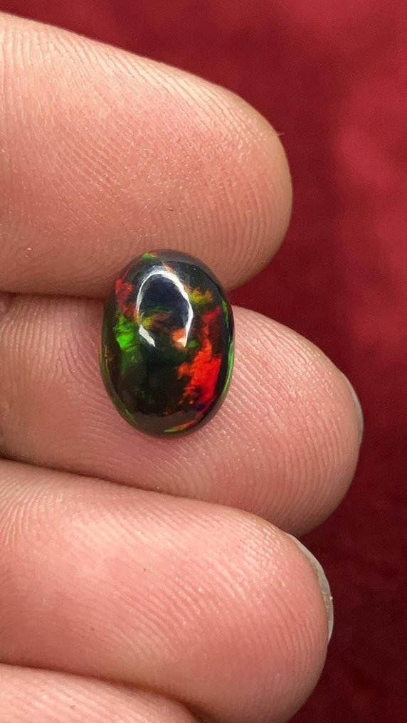 Opal Feuerschwarzer, multicolor AAA+++ – sehr selten! – 3 Ct- 0.6 g #2.1
