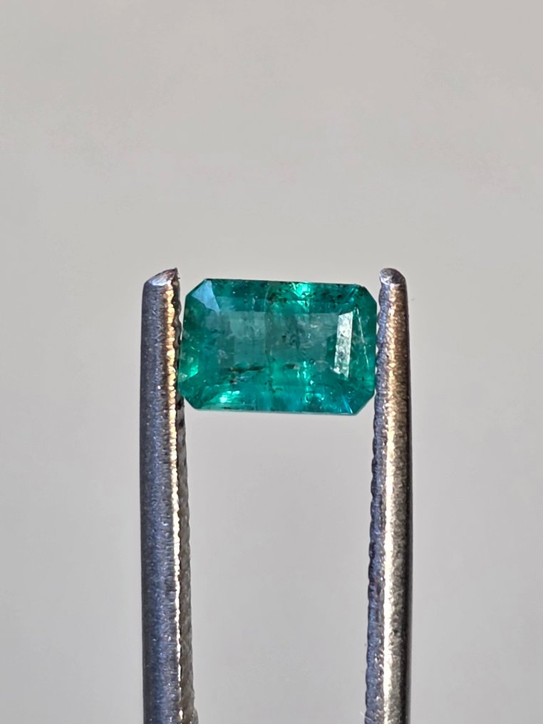 没有保留价 绿色 祖母绿  - 0.53 ct - 西班牙宝石学院（IGE） #2.1