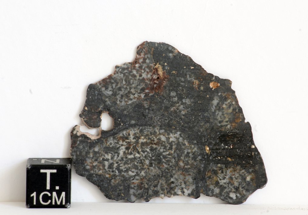 Fetta di meteorite achondrite, breccia di fusione di Eucrite Bella texture di NWA 14503 - 3.13 g - (1) #1.0