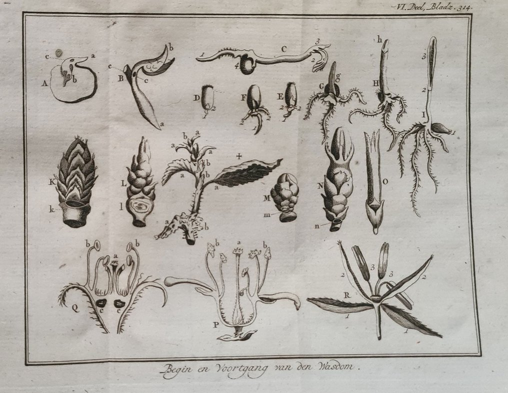 [Antoine Pluche] & Pieter le Clercq (vert.) - Schouwtoneel der Natuur - 1799 #2.1