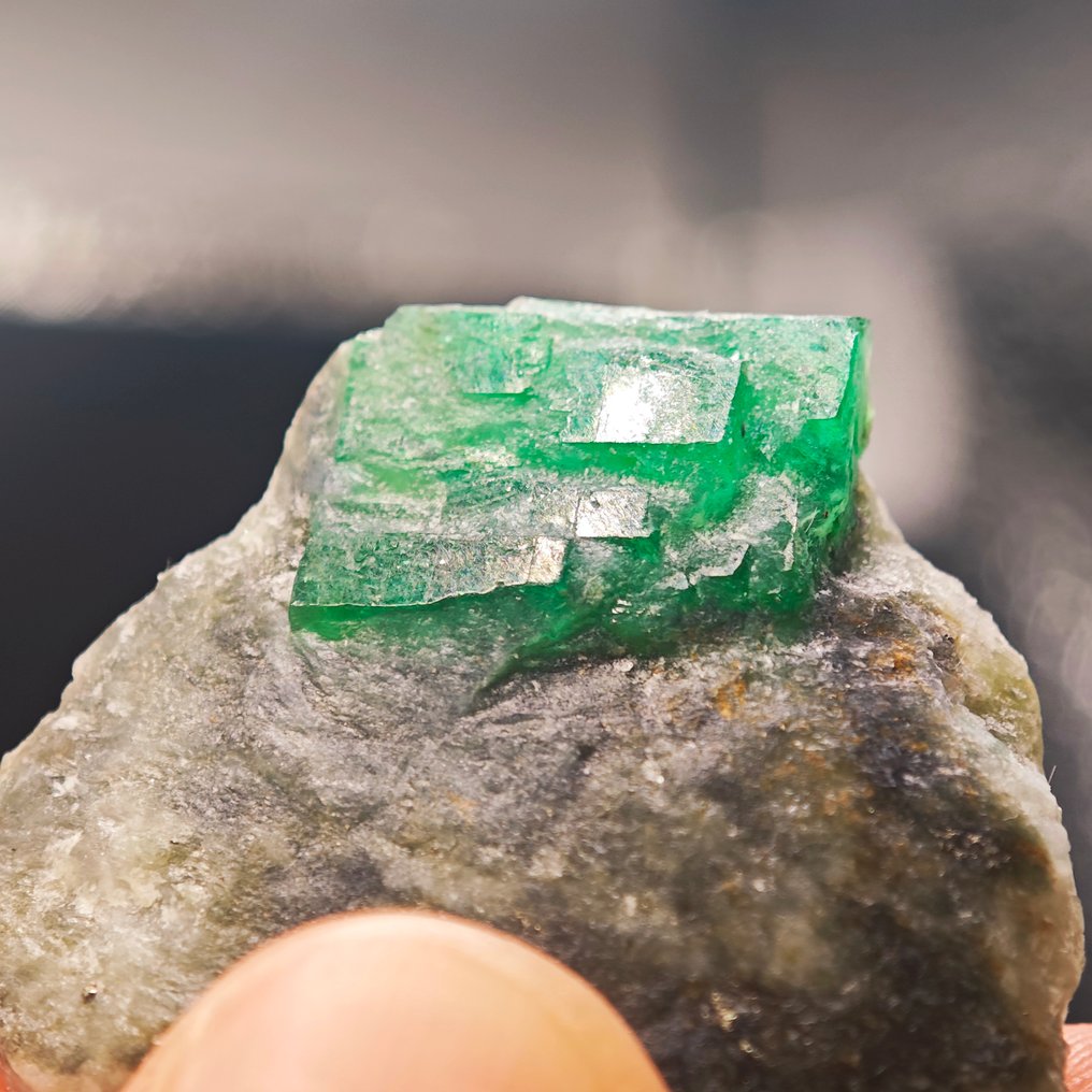 46,2 ct TOP Giftgrünes Smaragd Kluster mit terminierten Kristallen- 9.24 g #1.0