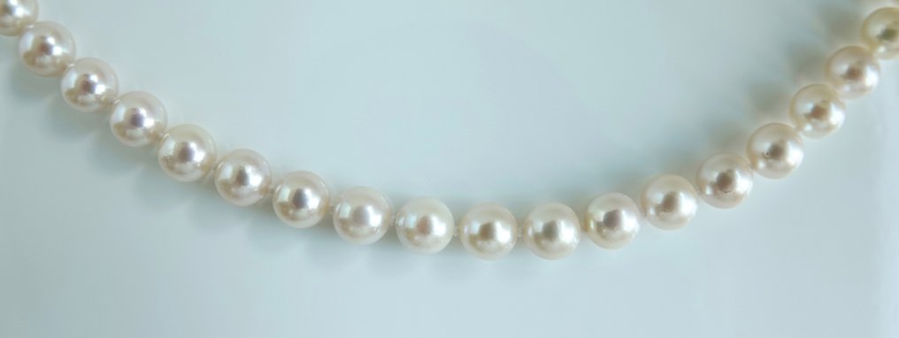 χωρίς τιμή ασφαλείας - Κολιέ Ασημί Μαργαριτάρι - Στρογγυλή μαργαριταρένια πέρλα Akoya 7-7,5mm #4.3