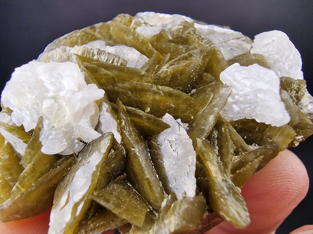 Siderite Dolomite Top - senza danni - Altezza: 60 mm - Larghezza: 55 mm- 144 g - (1) #3.2