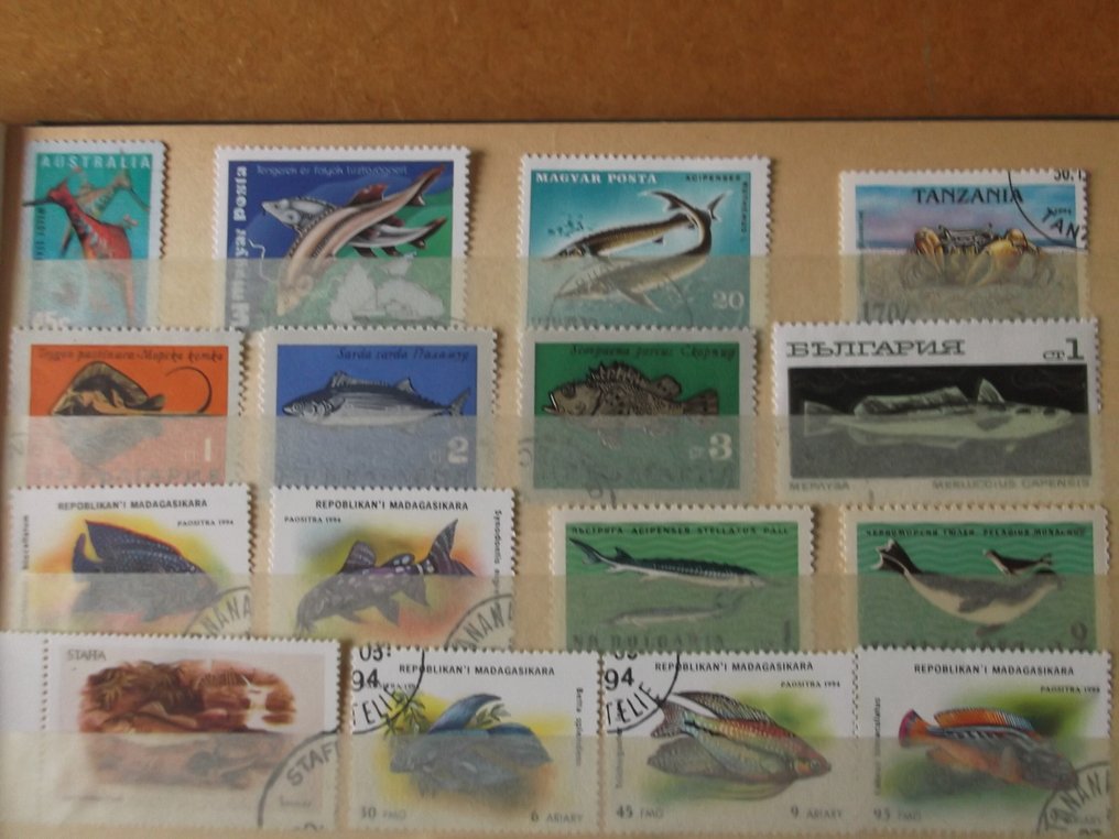 世界  - 动物：鱼类——海洋动物——蝴蝶——昆虫——马——狗/猫（根据描述） #1.0