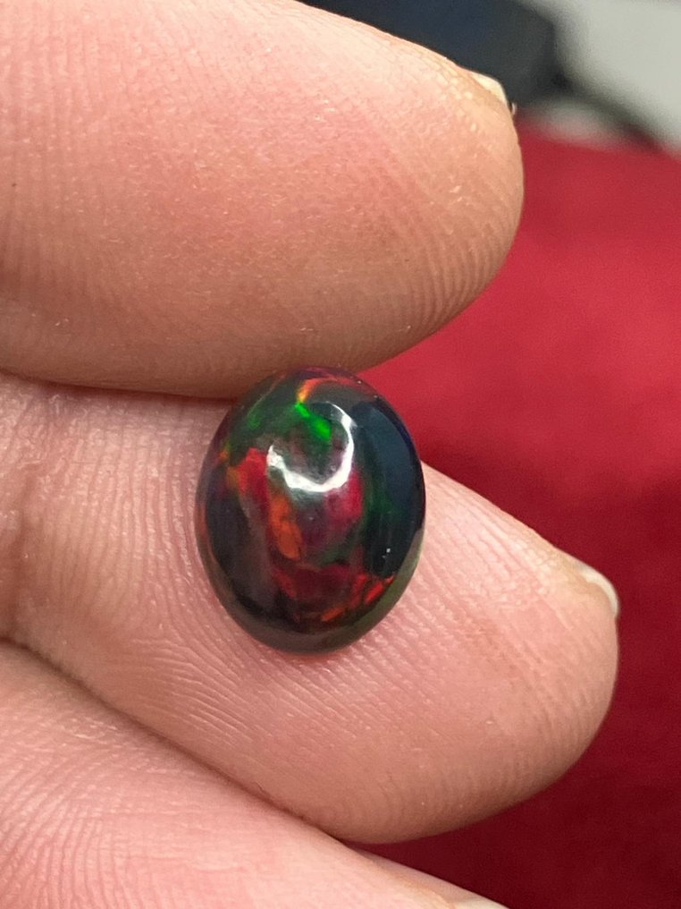 Opal Multicolored Fire Black AAA+++ Natural Black Opal - 2Ct- 0.4 g #4.3