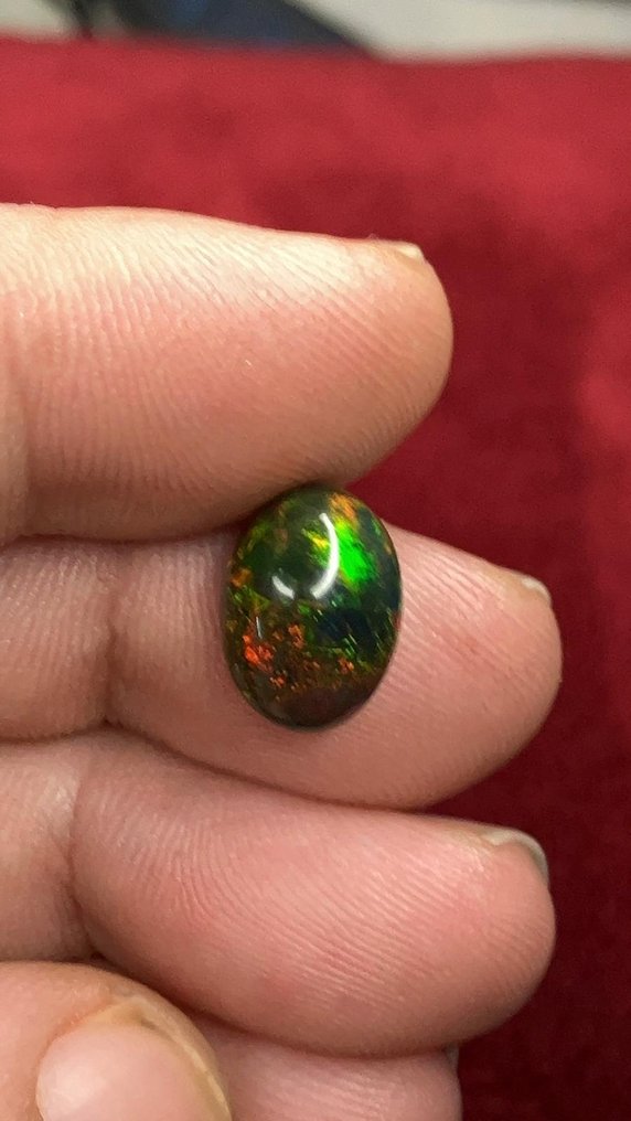 Opaal Negro de Fuego Multicolor AAA+++ - Zeer zeldzaam! - 3 ct- 0.6 g #3.2