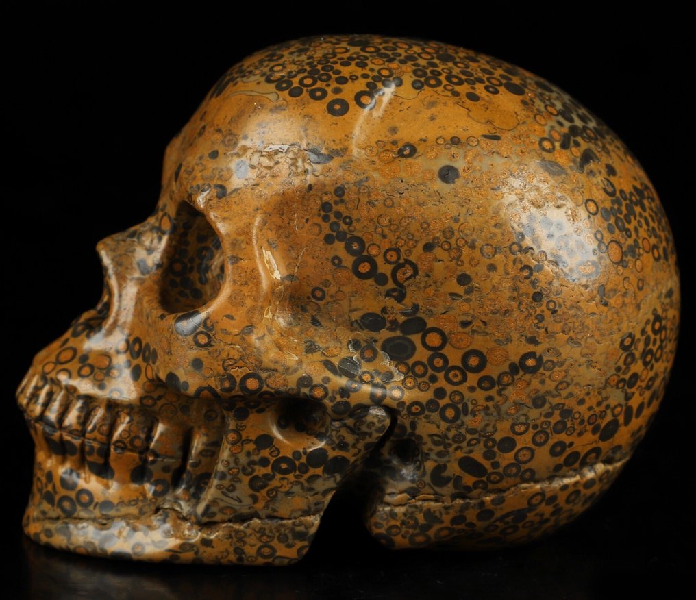 Jasper 678 g 9,80 x 7,50 cm Mexikói AA Jasper Magic Műalkotás sámánikus leopárd bőr Jasper- 678 g #2.1