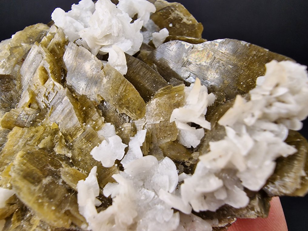 Siderite Dolomite Top - senza danni - Altezza: 65 mm - Larghezza: 60 mm- 131 g - (1) #4.3