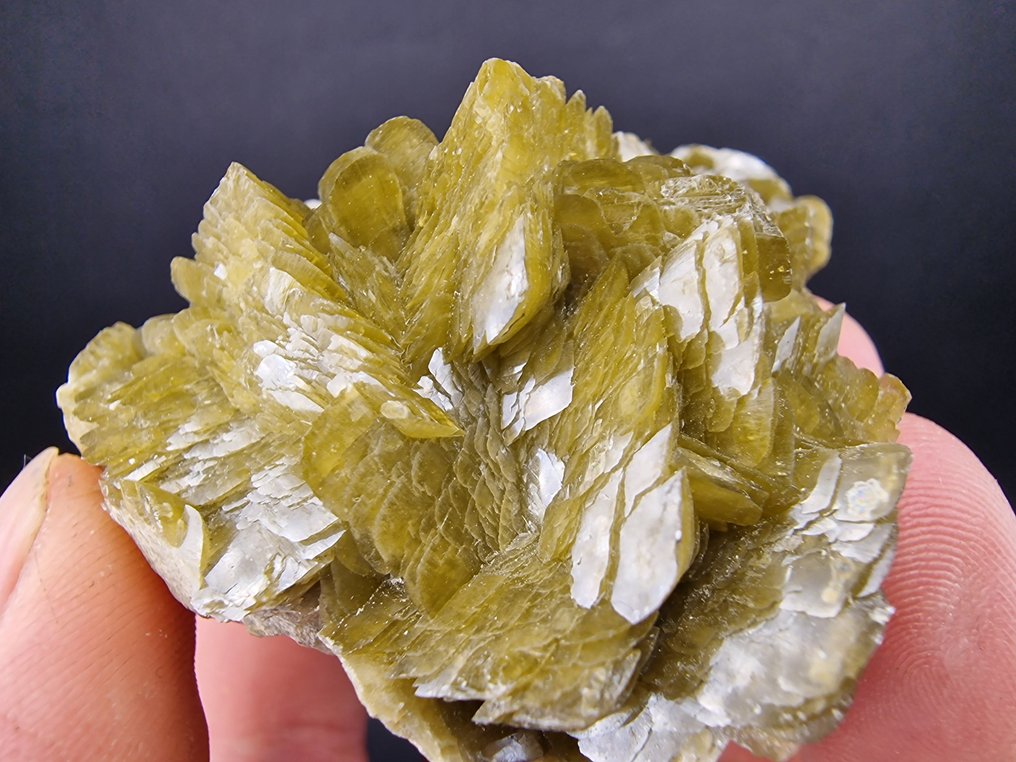 Siderite Dolomite top - not damage - Height: 90 mm - Width: 65 mm- 316 g - (1) #1.0