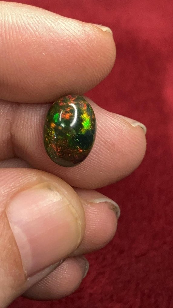 Opaal Negro de Fuego Multicolor AAA+++ - Zeer zeldzaam! - 3 ct- 0.6 g #4.3