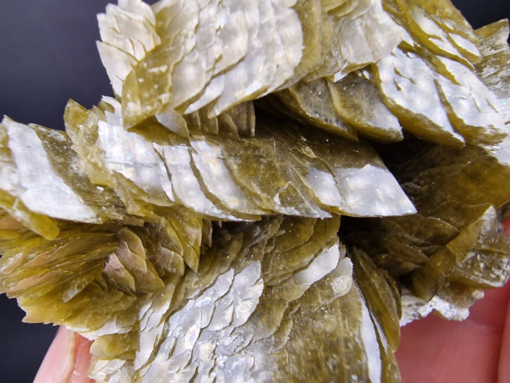 Siderite Dolomite顶部 - 无损坏 - 高度: 70 mm - 闊度: 55 mm- 224 g - (1) #1.0