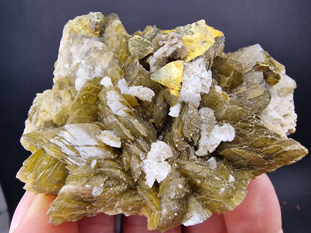 Siderit Dolomite topp - oskadat - Höjd: 85 mm - Bredd: 70 mm- 153 g - (1) #1.0