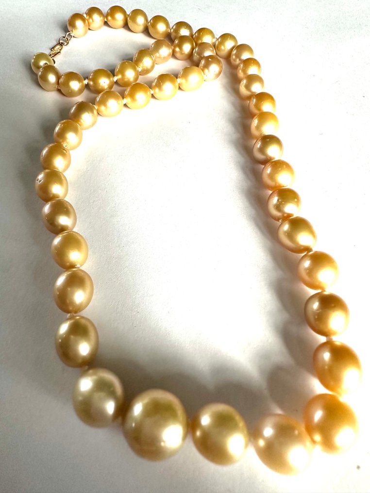 Chaîne - 23 carats Or jaune Perle - Collier de perles Zuidzee #1.0
