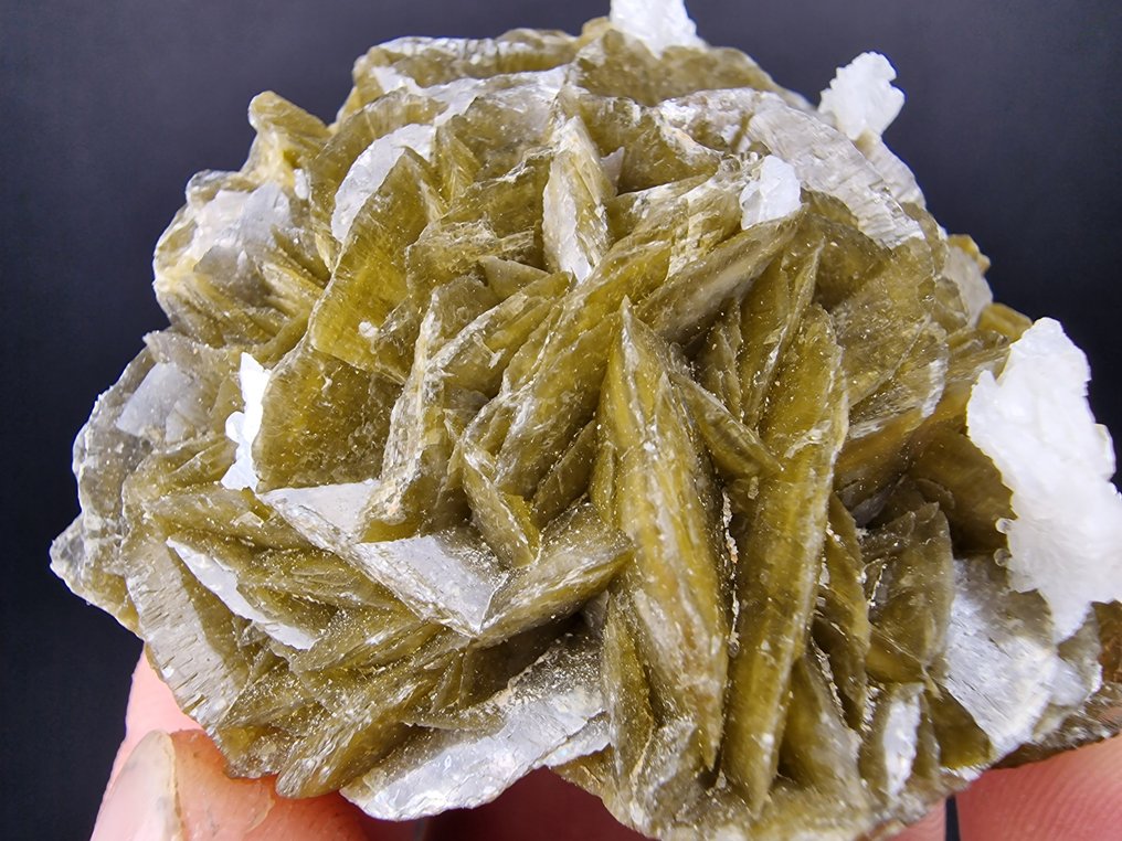 Siderite Dolomite Top - senza danni - Altezza: 60 mm - Larghezza: 55 mm- 144 g - (1) #1.0