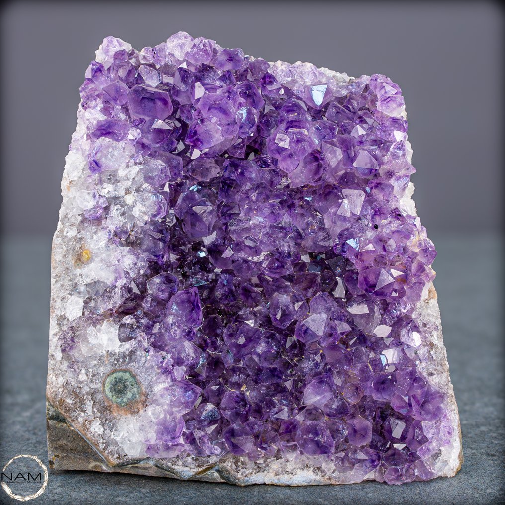 Breathtaking amethyst geode – Radiant crystal splendor in violet- 926.98 g #4.3