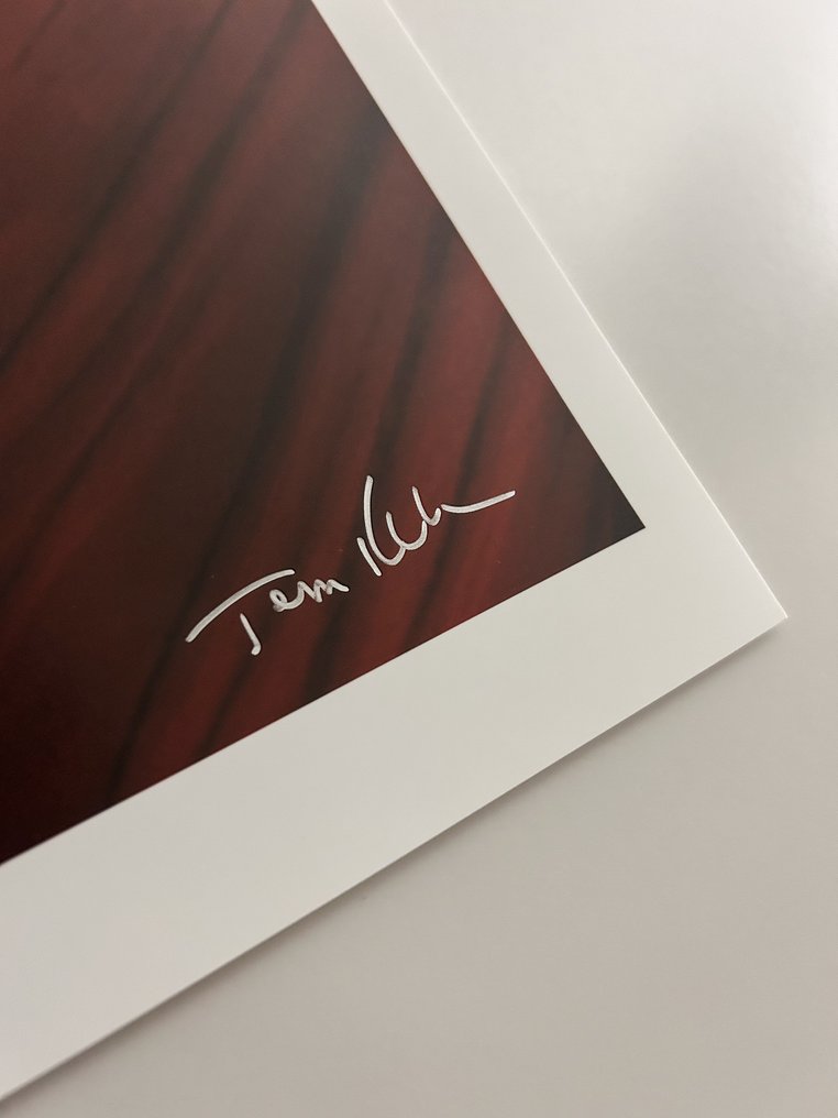 Tom Kelley (American, 1914-1984) - Red Velvet, Marilyn Monroe in Pose #2, 1949 #3.2