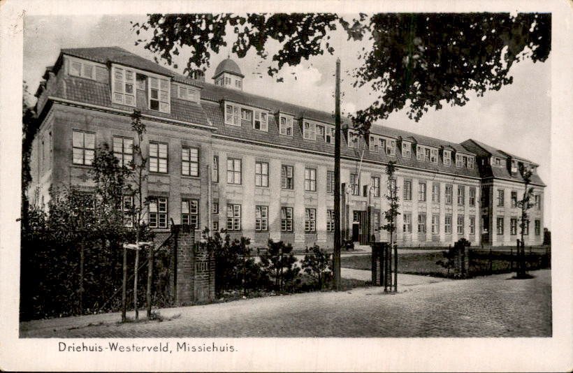 荷兰 - 哈勒姆 - 明信片 (124) - 1900-1960 #4.3