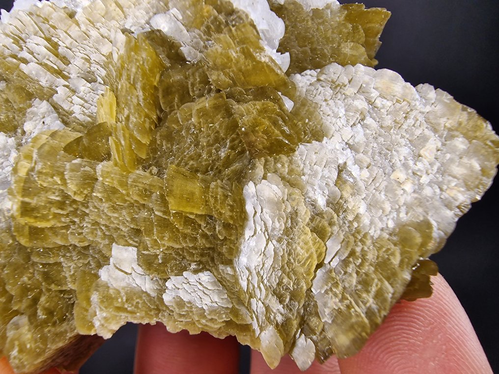 Siderite Dolomite top - not damage - Height: 60 mm - Width: 50 mm- 145 g - (1) #1.0