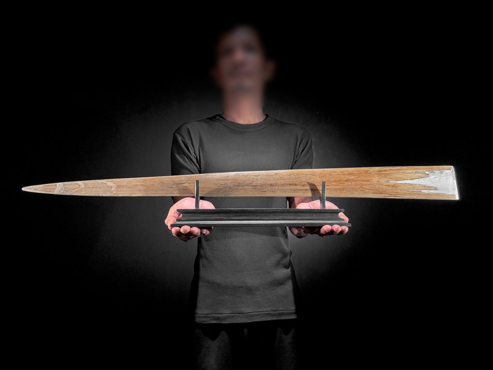 没有保留价 - 配有精美雕刻的巨大剑鱼吻部 - 日本锦鲤图案 吻突 - Xiphias Gladius - 12 cm - 84 cm - 6 cm- 非《濒危物种公约》物种 - (1) #4.3